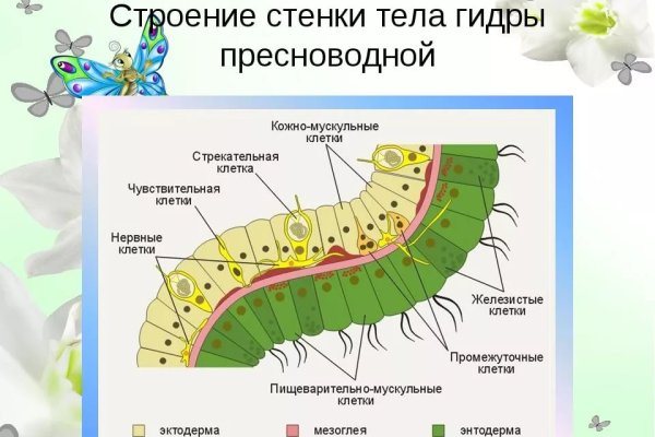 Как восстановить аккаунт кракен