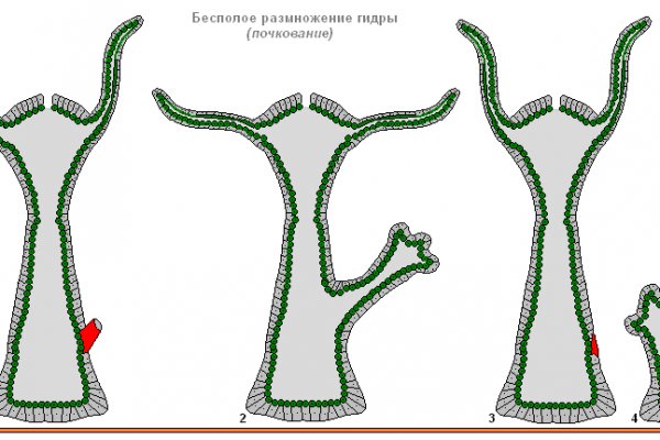 Кракен сайт at