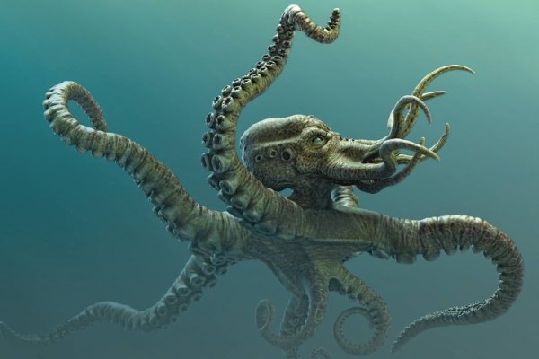 Официальный сайт kraken kraken clear com